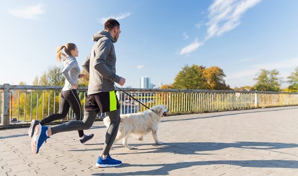 vitalis bienestar consejos para practicar running con mascota perro